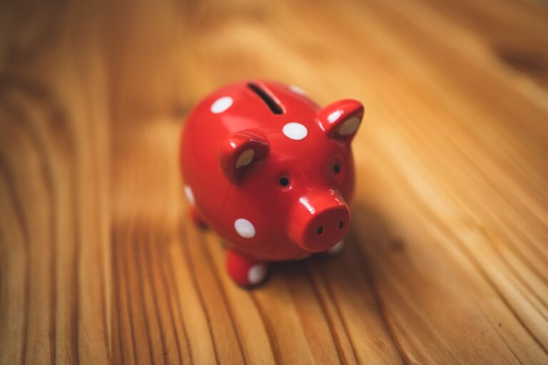 25 de trucuri pentru economisirea rapidă a banilor fără să simți lipsa lor