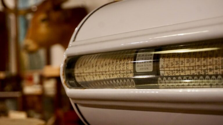 Economisește mai mult: Cum să alegi între cheltuielile variabile și cele fixe
