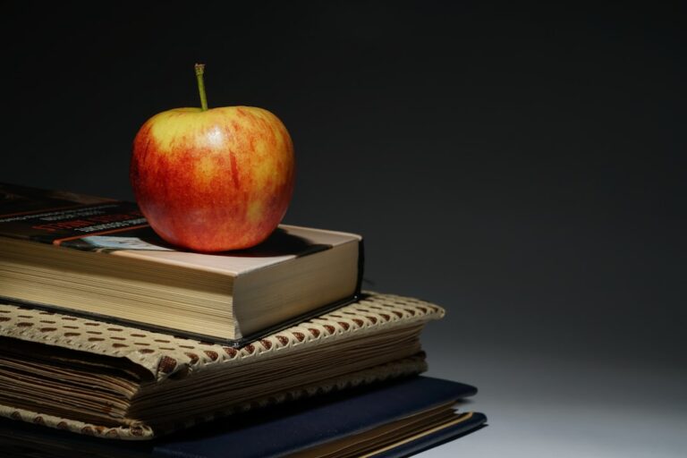 Cum calculezi randamentul educației (ROI pe cursuri și diplome)