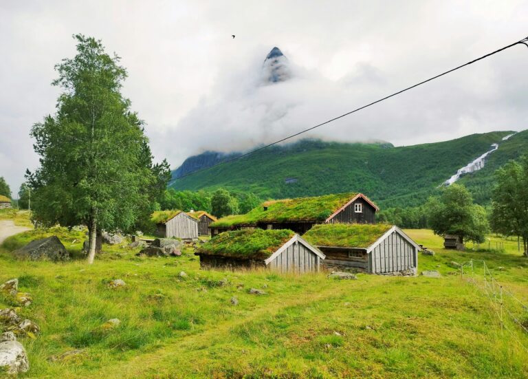 Cum strângi avansul mai repede