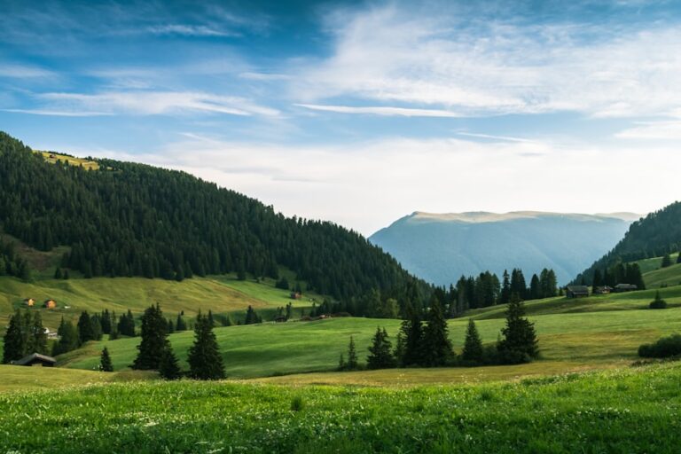 Venituri din dividende — cât investești