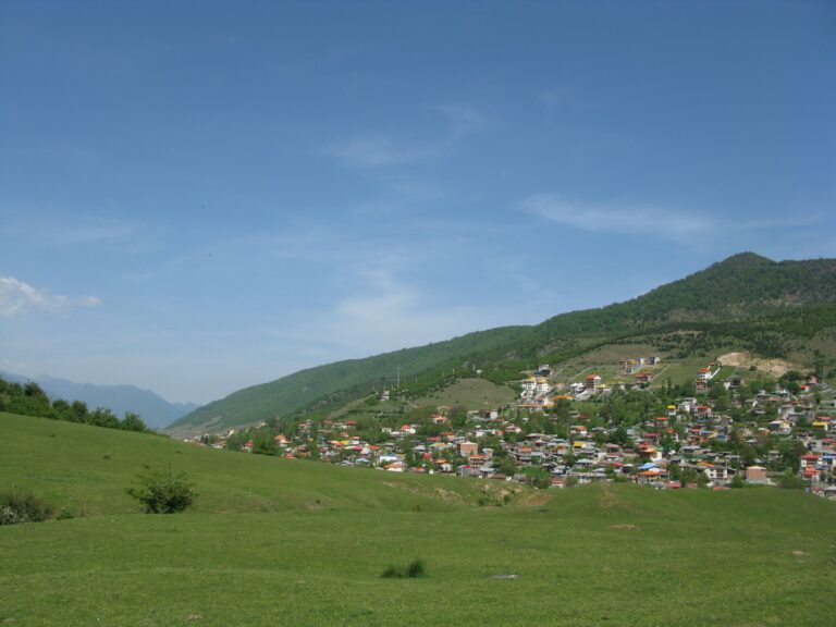 Cele mai bine plătite joburi 2026